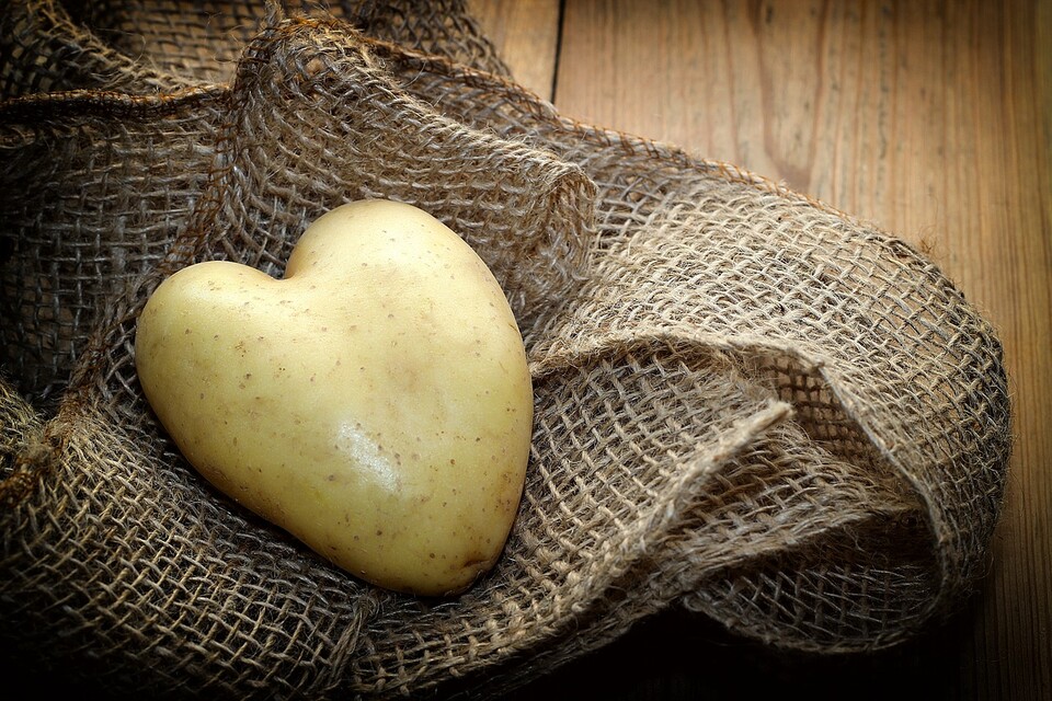 Kartoffeln und Mehl bilden die Grundlage für das leckere Gericht Bauernsterz.