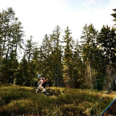 Mit dem E-Bike können Sie ganz sportlich und umweltfreundlich die Nationalparkregion rund um Grafenau erkunden