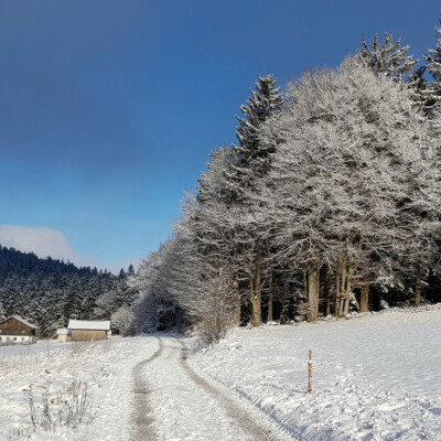 Im Bayerischen Wald findet ihr abwechslungsreiche Winterwanderungen
