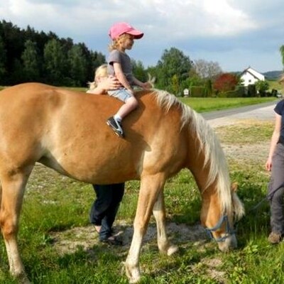 Kinderspaß auf dem Pferderücken beim Bayerwaldhaus im Luftkurort Waldmünchen