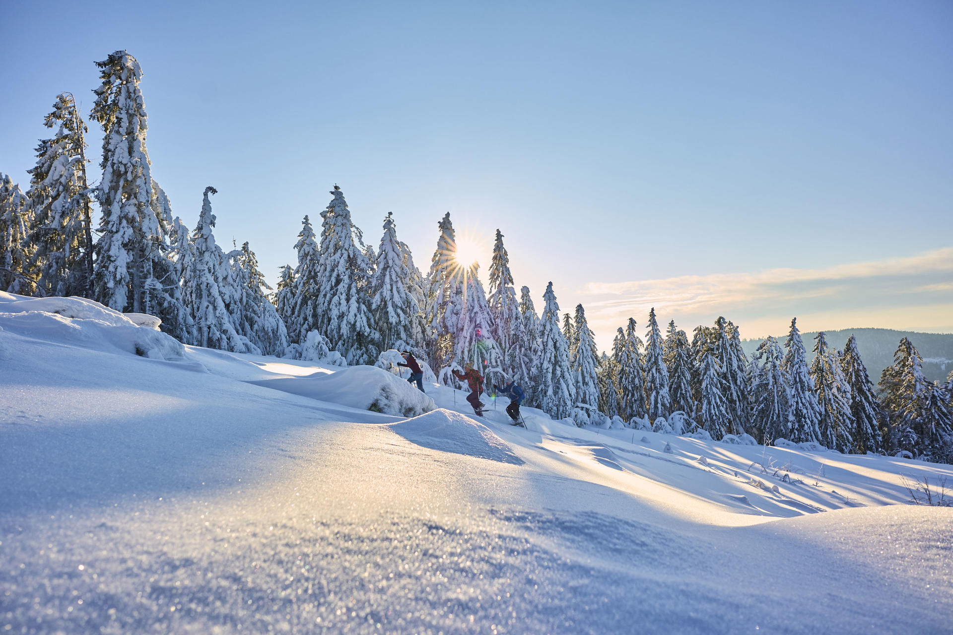 Einfach wunderschön: Eine Schneeschuhtour durch den Bayerischen Wald