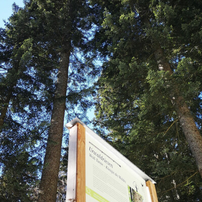 In das tiefe Schussbachtal entlang des Naturlehrpfades wird am Mittwoch, den 18. Mai eine geführte Wanderung mit dem Naturpark-Gebietsbetreuer angeboten. 