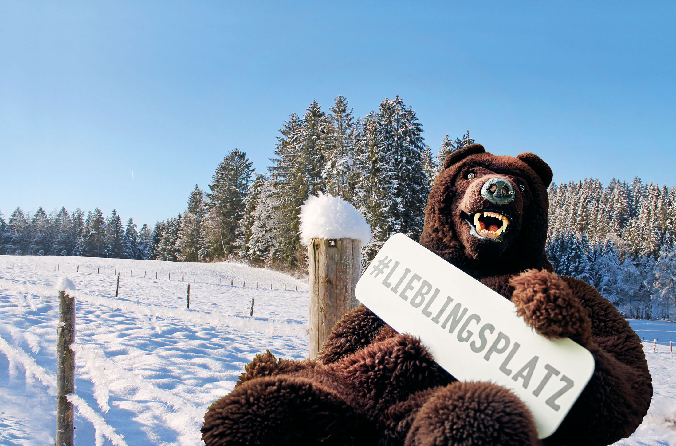 Ein echter #LIEBLINGSPLATZ: Grafenau im Winter mit tollen Angeboten