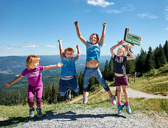 Abwechslungsreicher Familienurlaub in der Ferienregion Nationalpark Bayerischer Wald