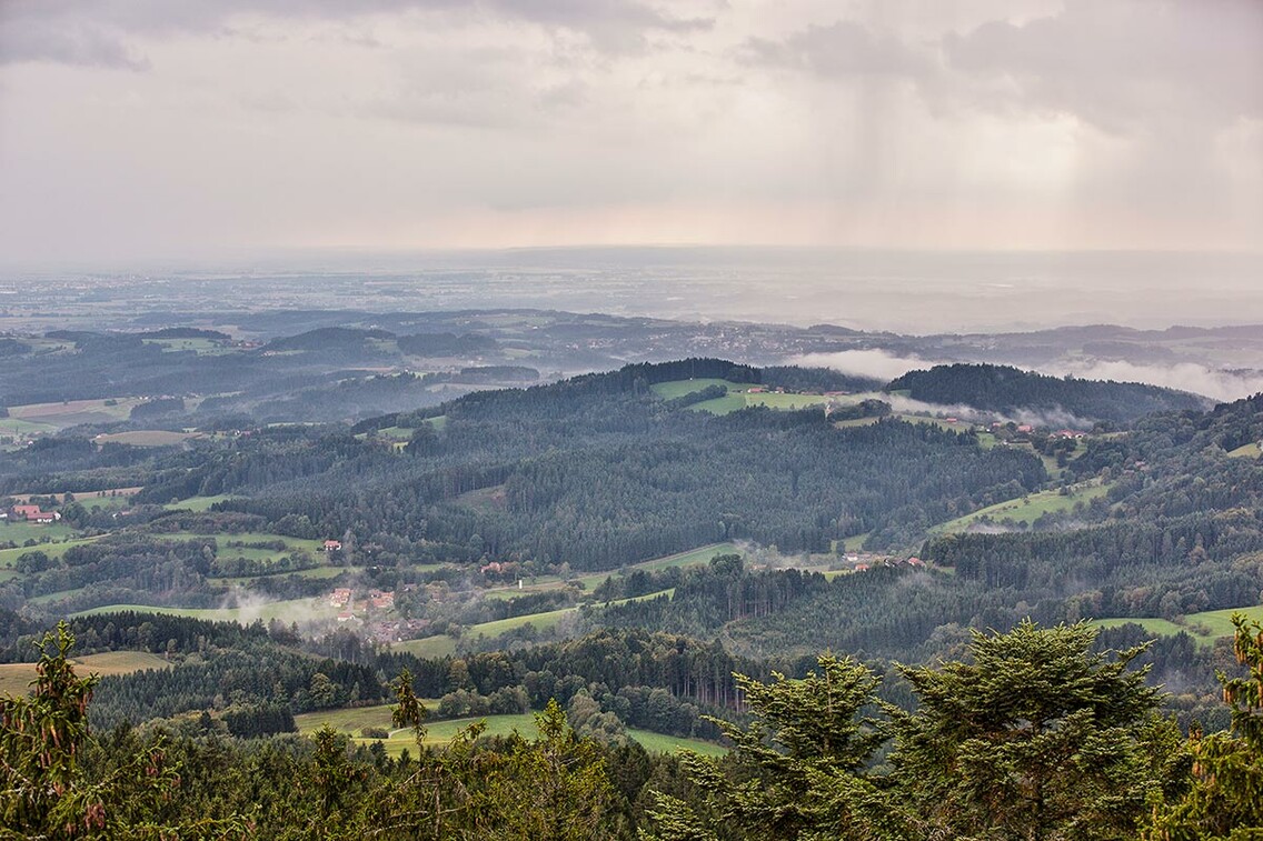 Panorama Bayerischer Wald