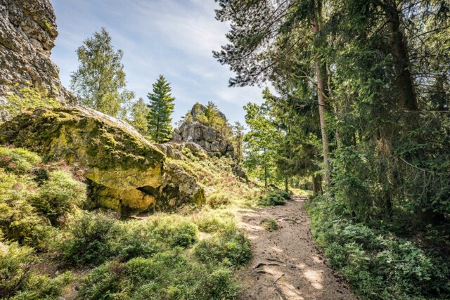 Das Naturschutzgebiet um den Großen Pfahl, ausgezeichnet als Bayerns Geotop Nr. 1, bietet eine einmalige Flora und Fauna.