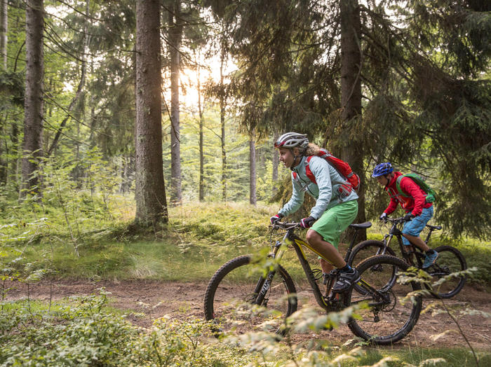 Mountainbikeerlebnis Bayerischer Wald