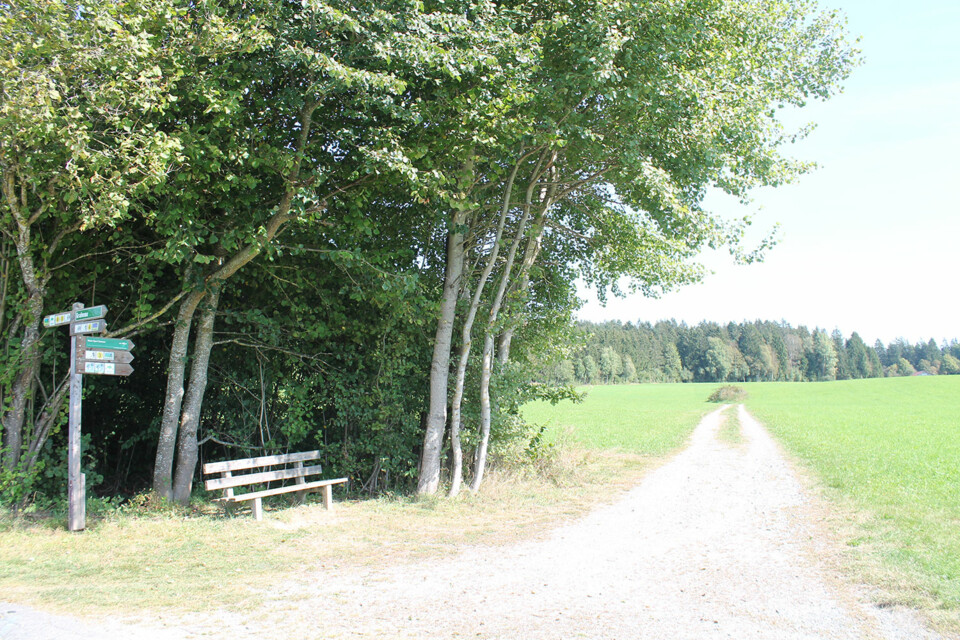 Sonnige Rundtour führt überwiegend entlang Wiesen und Felder.