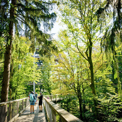 Ein Ausflug zum Baumturm im Nationalpark Zentrum Lusen ist ein unvergessliches Ausflugsziel.