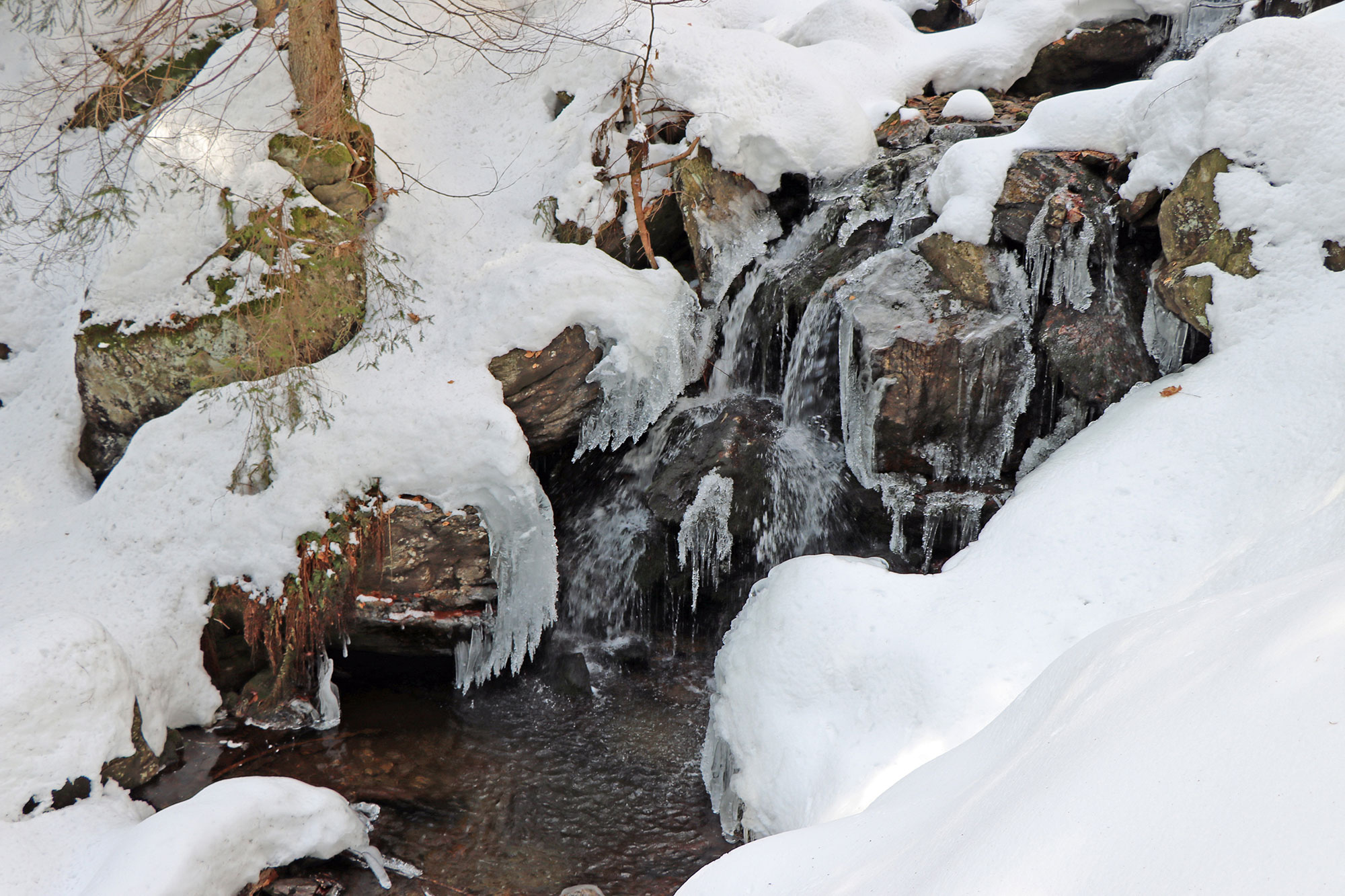 Interessantes über Schnee und dem Wasserhaushalt erfahren die Teilnehmer der Wanderung am 19. Februar.