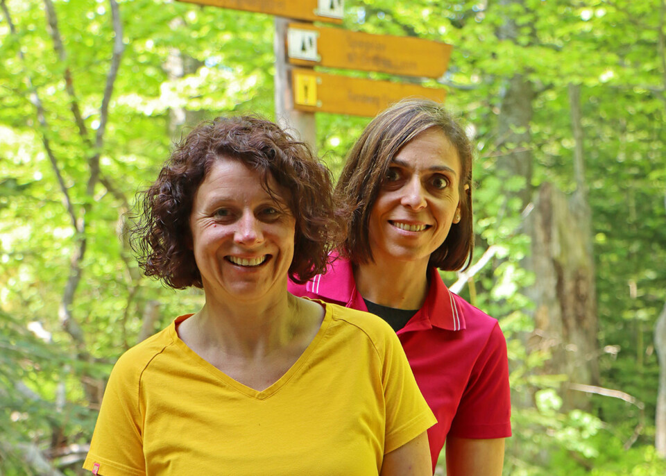 Im Video über den Rundweg Flusskrebs führen Sabrina Dillinger (rechts) und Simone Schopf von der Ferienregion Nationalpark Bayerischer Wald die Zuschauer durch die Waldwildnis.