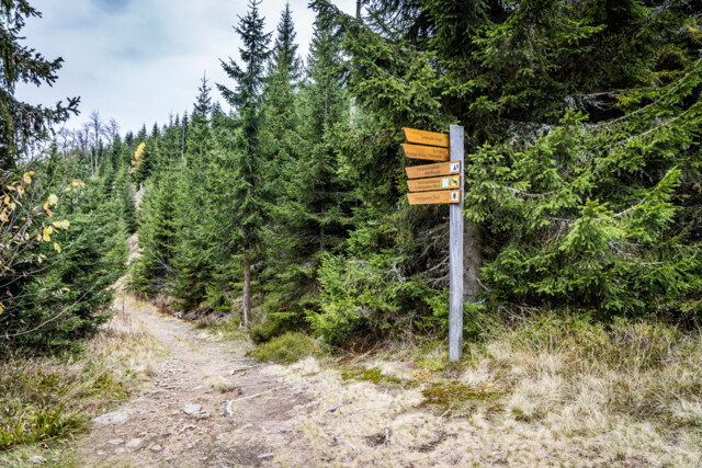 Im Nationalpark Bayerischer Wald wandert ihr auf sehr gut ausgeschilderten Wanderwegen