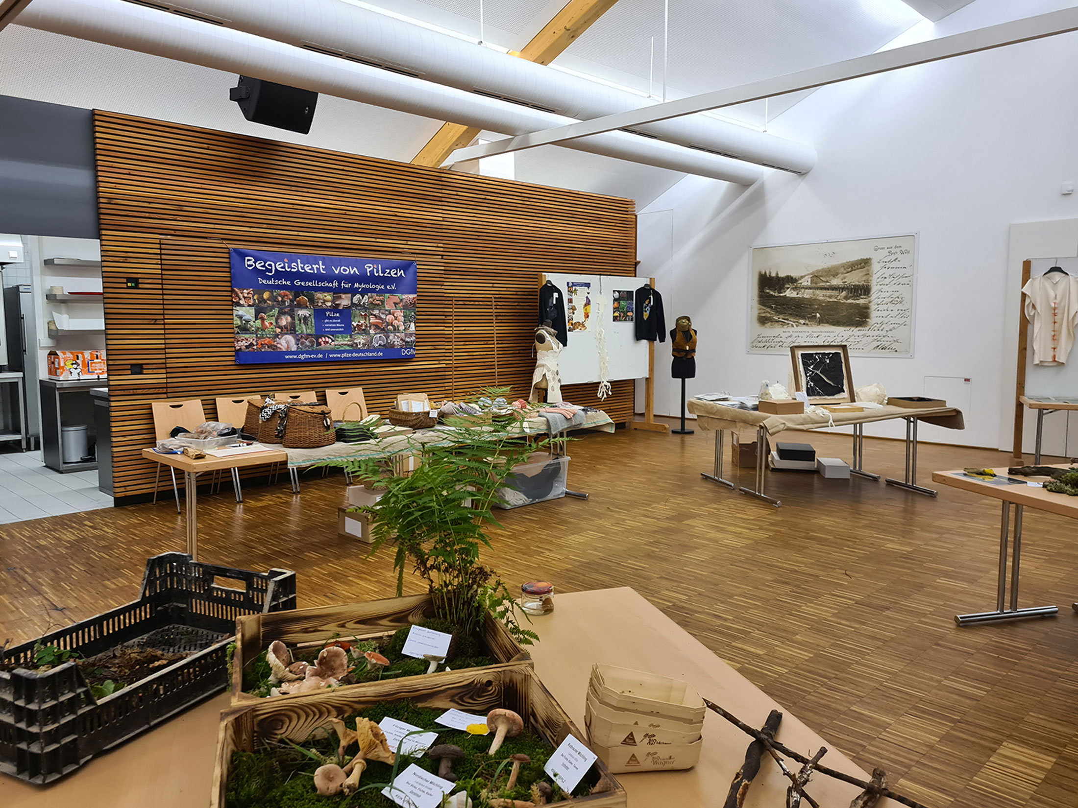 Die häufigsten Speise- und Giftpilze werden bei der Ausstellung „Pilze ohne Grenzen“ in der Arberlandhalle gezeigt. 